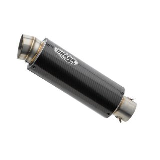 SHARK SRC 4 Slip on Auspuff Super Short KTM RC 390 / 125...