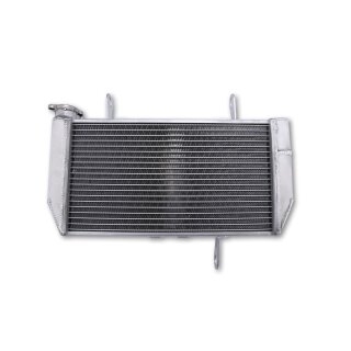 motoprofessional Wasserkühler DUCATI Multistrada 1200 , silber