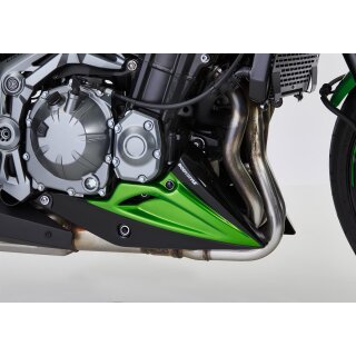 Bugspoiler KAWASAKI Z900 2019