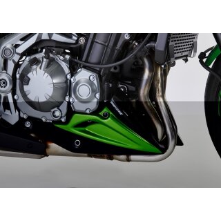 BODYSTYLE Bugspoiler KAWASAKI Z900 2019 grün Candy Lime Green 3, 51P